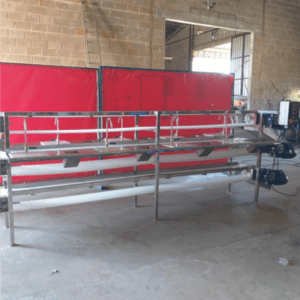 Esteira Transportadora para Limpeza de Filé